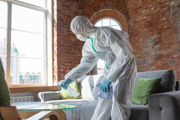 Professional Mold Removal in Maryland Heights, MO